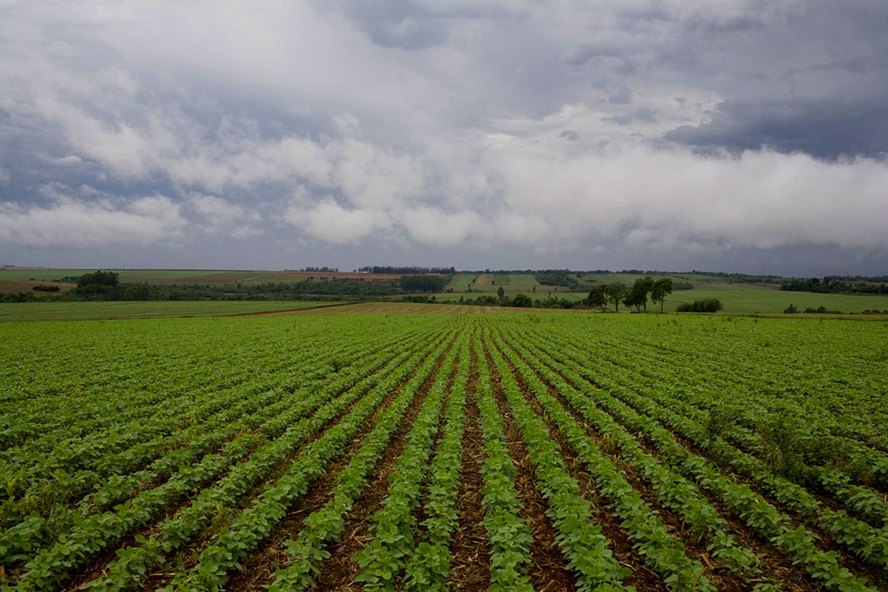 Barren Minds Go Hungry On Fertile Lands Prime News Ghana