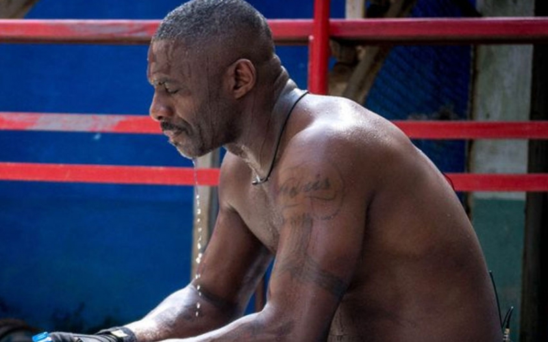  Fighting fit: In 2016 Idris did a year’s training as a kickboxer for a documentary [Image: Discovery Communications]