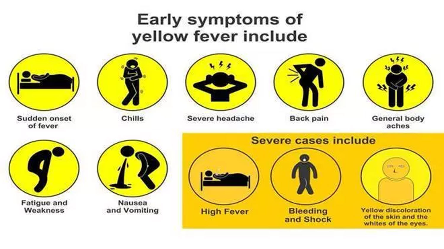 yellow-fever-death-toll-now-16-prime-news-ghana