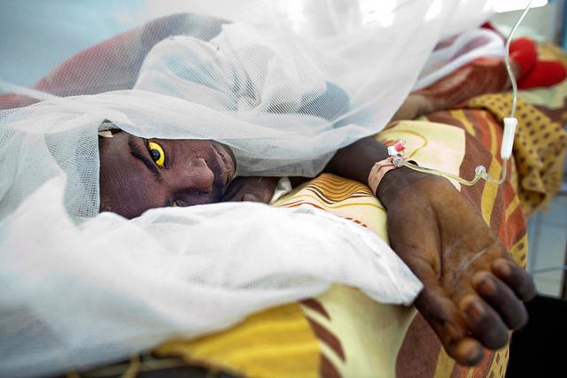 Yellow fever death toll rises to 25