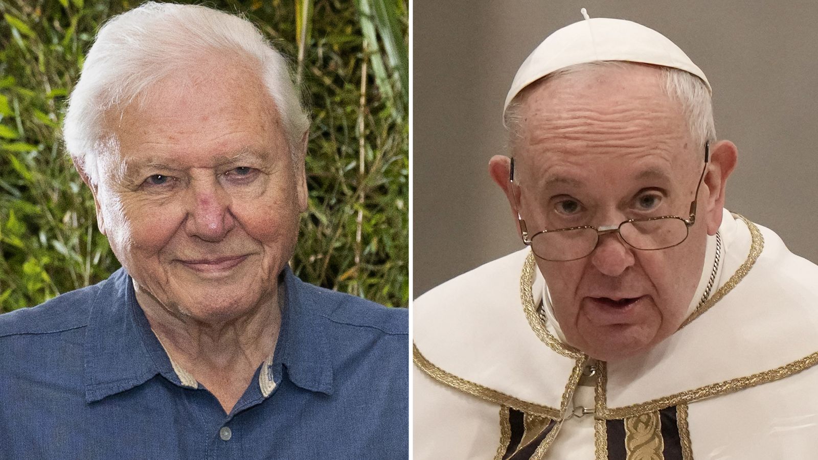 Pope Francis nominated for Nobel Peace Prize along with Sir David Attenborough, others