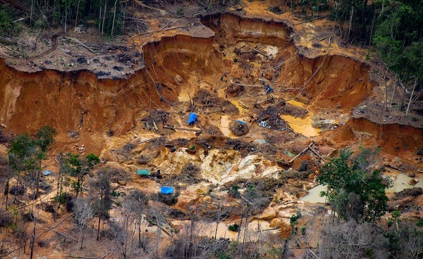 It is estimated that illegal mining destroyed an area equivalent to 500 football fields in the Yanomami territory in 2020