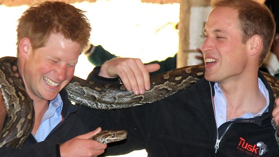 Prince Harry and Prince William have made several visits to Africa together - here seen in Botswana in 2010