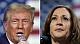 Donald Trump defeated Kamala Harris in the 2024 US presidential election